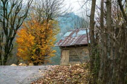 autumn home maintenance