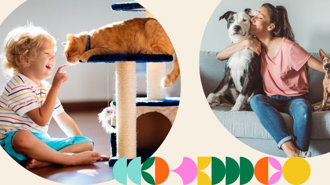 Cleaning after pets South Africa: A guide to cleaning after play-time